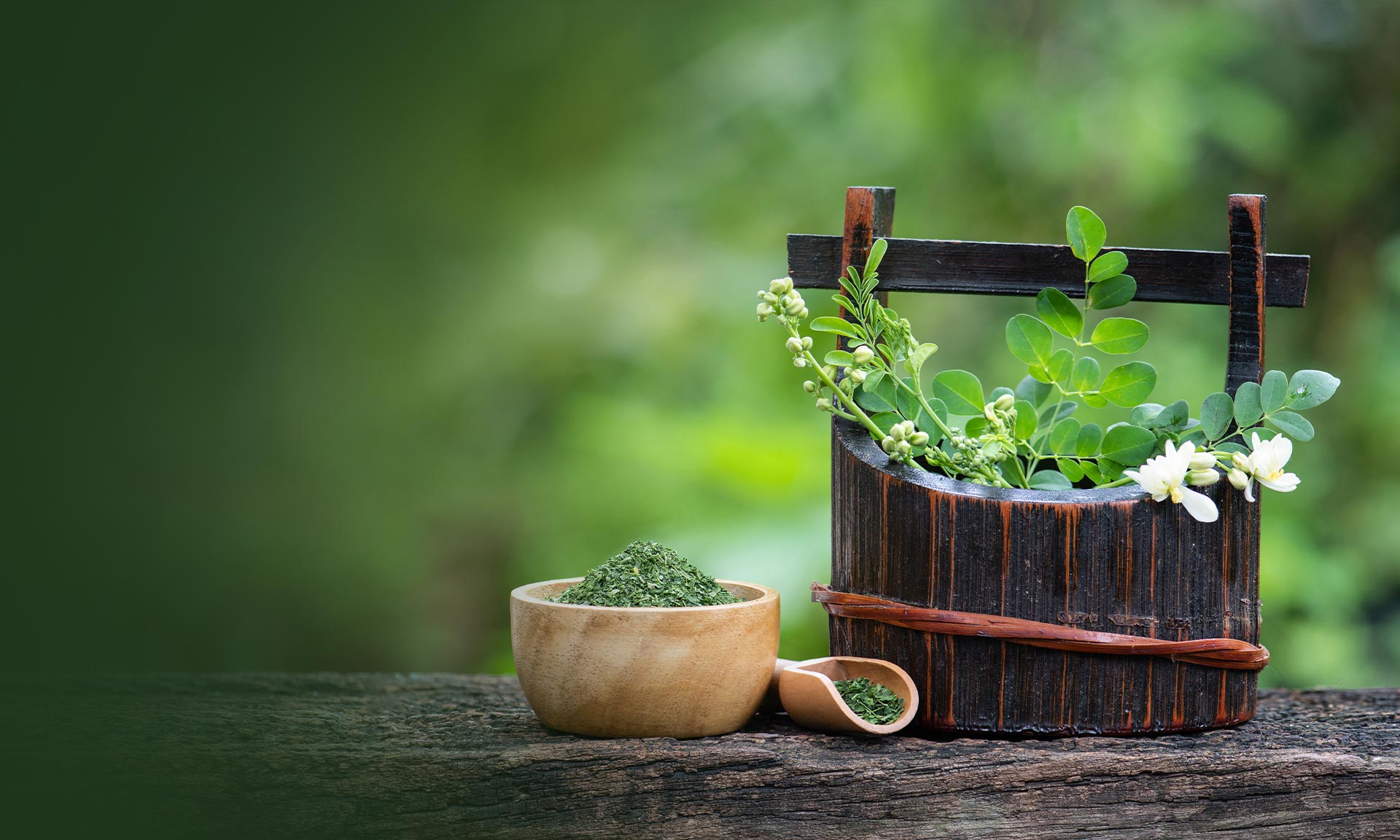 ayurveda center dubai, ayurvedic hospital in dubai